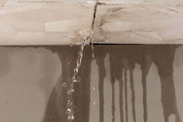 Professional Burst Pipe Cleanup technician working in Charleston, IL